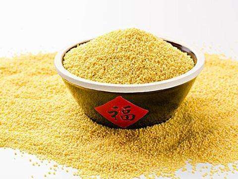 小米營養(yǎng)大解析