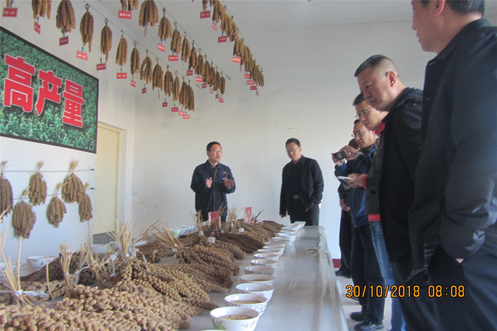 省市糧食局陪同四川省糧食局蒞臨我司考察調研